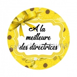 Cabochon a la la meilleure des directrices