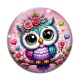 Cabochon Verre - chouette