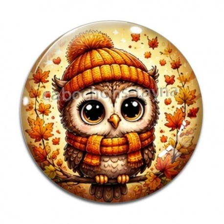 Cabochon Verre - chouette