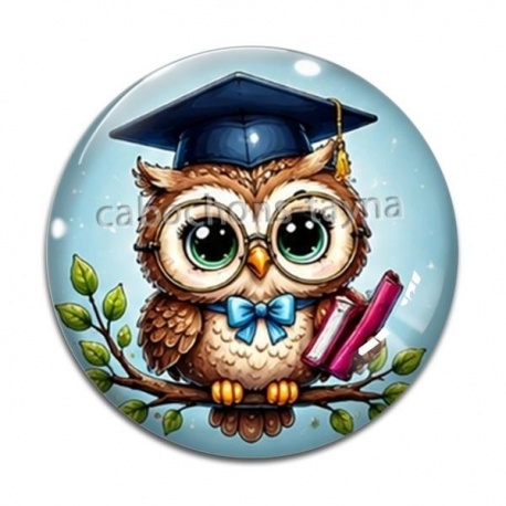 Cabochon Verre - chouette
