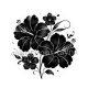 fleur noir et blanc
