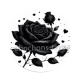 fleur noir et blanc