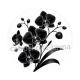 fleur noir et blanc