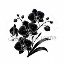 fleur noir et blanc