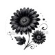 fleur noir et blanc