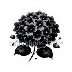 fleur noir et blanc