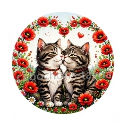 chat coquelicot