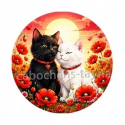 chat coquelicot