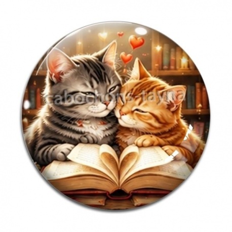 Cabochon Verre - chat livre