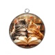 Pendentif Cabochon Argent - chat livre