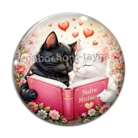Cabochon Verre - chat livre