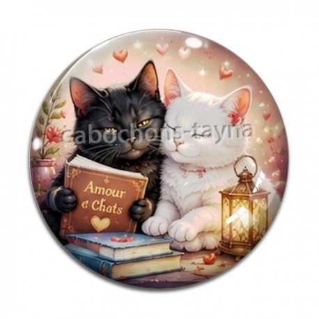 Cabochon Verre - chat livre
