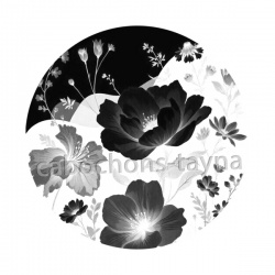 fleur noir et blanc