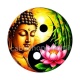 bouddha méditation yin yang 