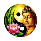 bouddha méditation yin yang 