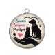 Pendentif Cabochon Argent - vétérinaire Sauver Soigner Protège