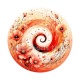 spirale fleur coquelicot