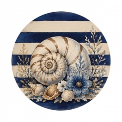 coquillage de mer