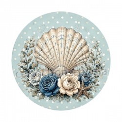 coquillage de mer