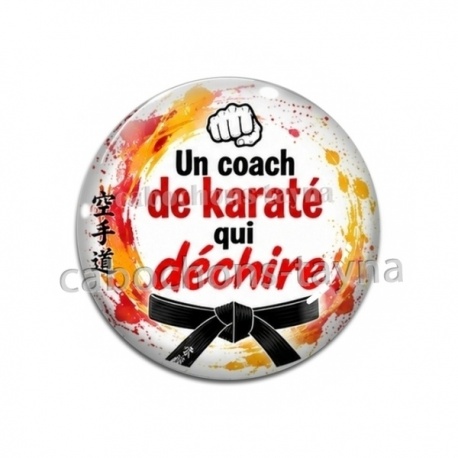un coach de karaté qui déchire