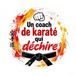 un coach de karaté qui déchire