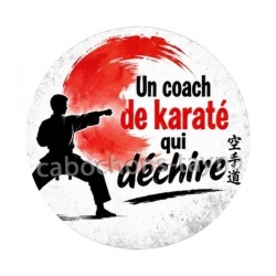 un coach de karaté qui déchire