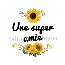 une super amie