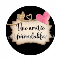 une amitié formidable