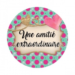 une amitié extrordinaire