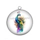 Pendentif Cabochon Argent - paon