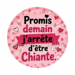 promis demain j'arrête d'être chiante