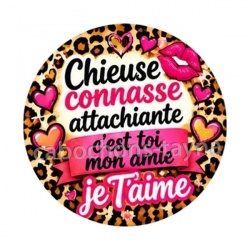 chieuse connasse attachiante c'est toi mon amie je t'aime
