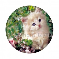 chaton fleur