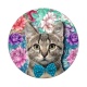 chat fleur
