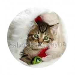 chaton f