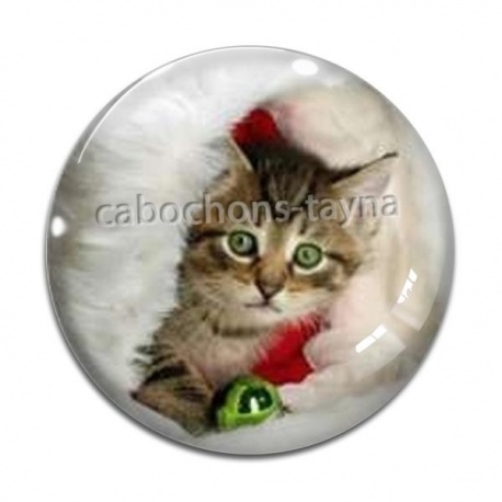 Cabochon Verre - chaton f