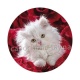 chaton fleur