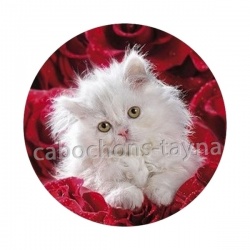 chaton fleur
