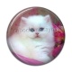 Cabochon Résine - chaton