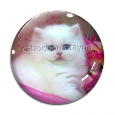 Cabochon Verre - chaton