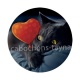 chat noir 