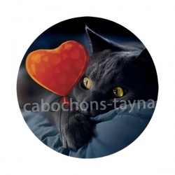 chat noir 