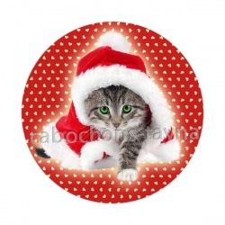 chaton