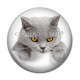 Cabochon Résine - chat