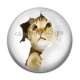 Cabochon Résine - chaton