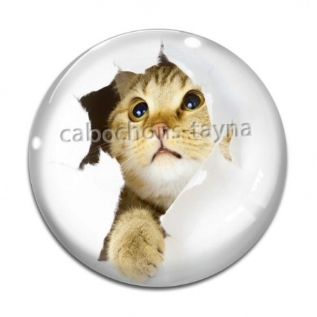 Cabochon Verre - chaton
