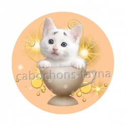 chaton