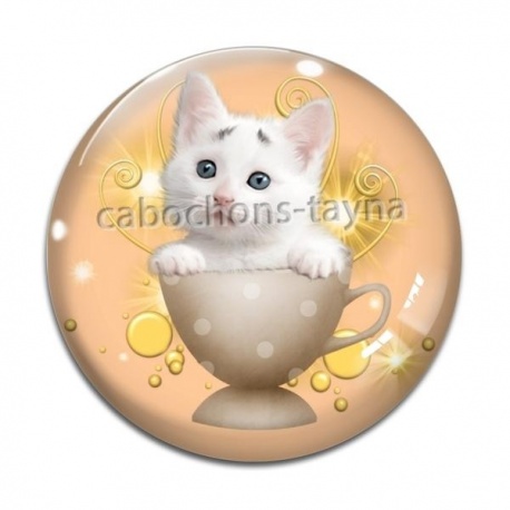 Cabochon Verre - chaton