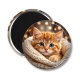 Magnet's - chaton tricot