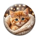 Cabochon Verre - chaton tricot